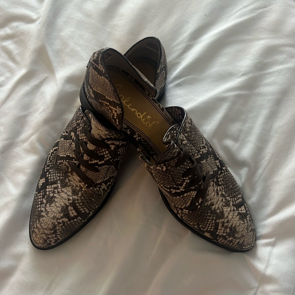 Brown splendid snake  print